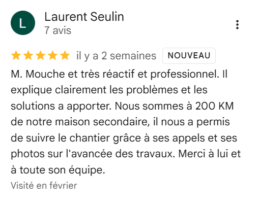 Avis Google - Laurent Seulin